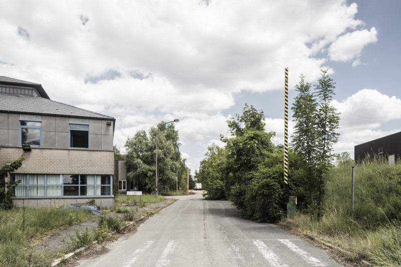 © Tim Van de Velde